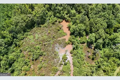 49 Acres Jordon Road, Waverly Hall, GA 31831 - Photo 28