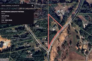 147 Little Rd, Sharpsburg, GA 30277 - Photo 58