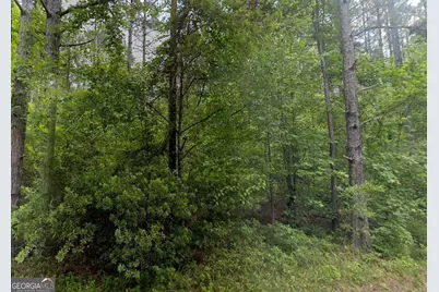 Lot 12 E Old Wire Road, Butler, GA 31006 - Photo 4