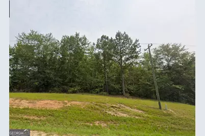 Lot 12 E Old Wire Road, Butler, GA 31006 - Photo 2