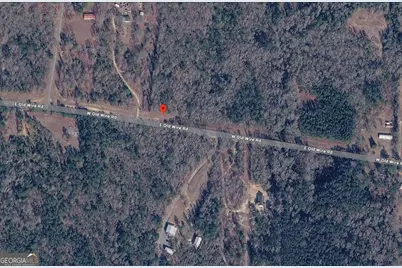 Lot 12 E Old Wire Road, Butler, GA 31006 - Photo 10