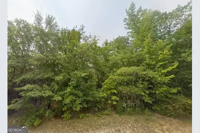 Lot 18 E Old Wire Road, Butler, GA 31006 - Photo 2