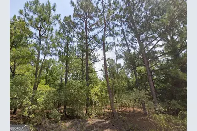 Lot 18 E Old Wire Road, Butler, GA 31006 - Photo 6