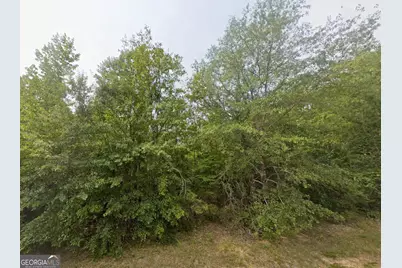 Tbd E Old Wire Road #18, Butler, GA 31006 - Photo 1