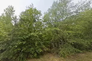 Lot 18 E Old Wire Rd, Butler, GA 31006 - Photo 1