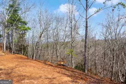 30 William Way, Ellijay, GA 30540 - Photo 8