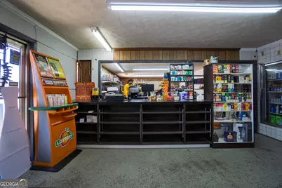 10441 Millarden (Ga-85) Road, Woodbury, GA 30293 - Photo 6