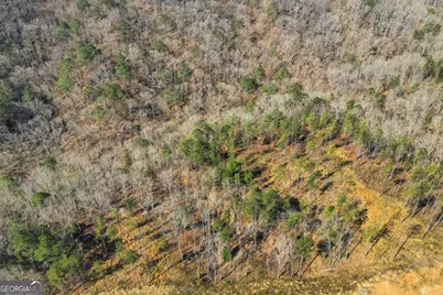 Lot 239 Spear Point Drive, Talking Rock, GA 30175 - Photo 8