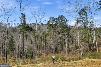 Lot 239 Spear Point Drive, Talking Rock, GA 30175 - Photo 6