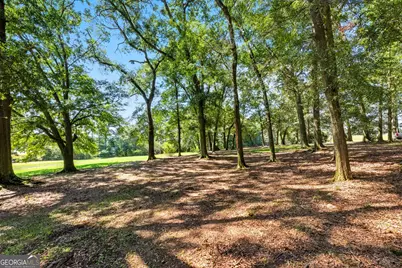 1320 Burroughs Road, Lavonia, GA 30553 - Photo 48