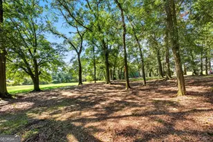 1320 Burroughs Rd, Lavonia, GA 30553 - Photo 48