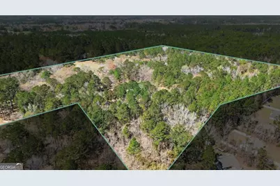 560 Log Landing Road, Springfield, GA 31329 - Photo 50