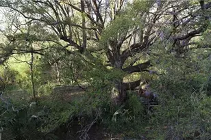 5076 Jacksonville Ave, Brunswick, GA 31523 - Photo 30