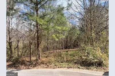 78 Heights Hollow, Acworth, GA 30101 - Photo 1