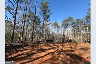 0 Waterford Road, Bremen, GA 30110 - Photo 4