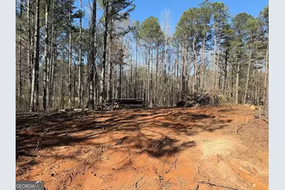 0 Waterford Road, Bremen, GA 30110 - Photo 2