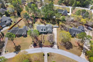 244 Surrey Ln, Statesboro, GA 30458 - Photo 40