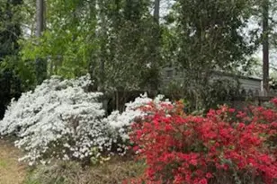 244 Surrey Ln, Statesboro, GA 30458 - Photo 36