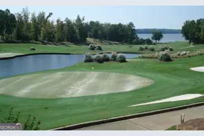 1180 Club Cove Dr, Greensboro, GA 30642 - Photo 48