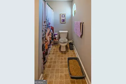 50 Acres McFarlin Bridge, Carnesville, GA 30521 - Photo 62