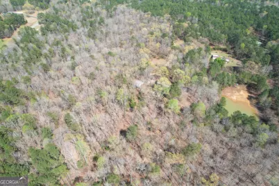 3595 Logtown Road, Thomaston, GA 30286 - Photo 52