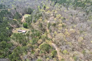 3595 Logtown Rd, Thomaston, GA 30286 - Photo 56