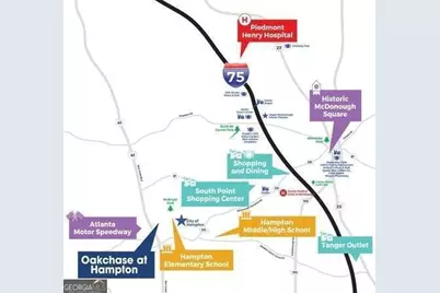 117 Oakchase Park Lane, McDonough, GA 30228 - Photo 42