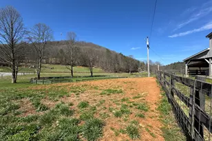 137 Blue Spruce Dr, Blairsville, GA 30512 - Photo 42