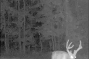 3873 Cove Rd, Woodbury, GA 30293 - Photo 74