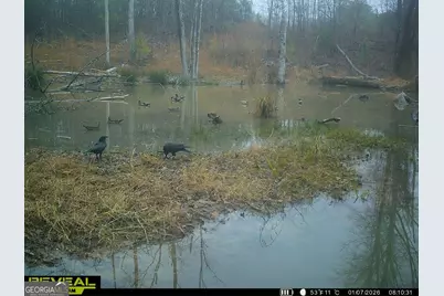 3873 Cove Road, Woodbury, GA 30293 - Photo 78