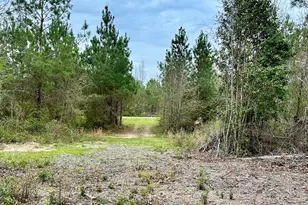 1974 Rock Springs Rd, Dublin, GA 31021 - Photo 1