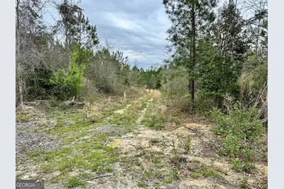 0 Rock Springs Road, Dublin, GA 31021 - Photo 6