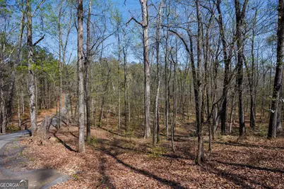 131 Woods Road, Juliette, GA 31046 - Photo 44