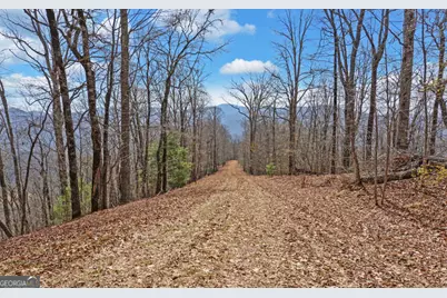 279 Collins Creek Road, Hiawassee, GA 30546 - Photo 36
