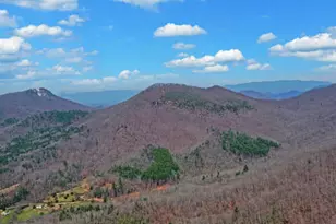 279 Collins Creek Rd, Hiawassee, GA 30546 - Photo 48