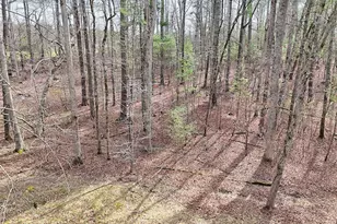 91 Margie Ln, Blairsville, GA 30512 - Photo 48