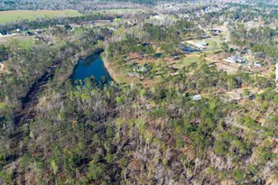 2136 W Ga Hwy 130, Vidalia, GA 30474 - Photo 50