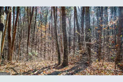 Lot 26 Waldrip Road, Dawsonville, GA 30534 - Photo 2
