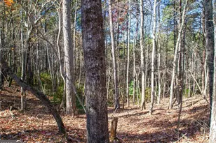 Lot 26 Waldrip Rd, Dawsonville, GA 30534 - Photo 1
