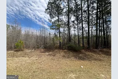 0 Marshall Church Road, Thomson, GA 30824 - Photo 1