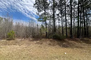 0 Marshall Church Rd, Thomson, GA 30824 - Photo 1