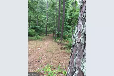 333 Venture Trail, Sparta, GA 31087 - Photo 4