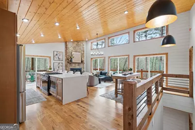 155 Doe Run, Ellijay, GA 30540 - Photo 4