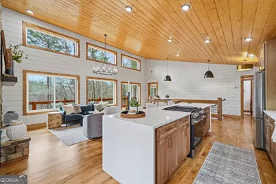 155 Doe Run, Ellijay, GA 30540 - Photo 10