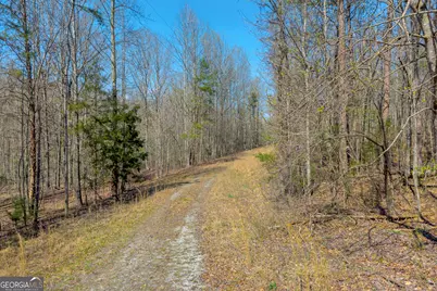 300 Rolling Rock Road, Carnesville, GA 30521 - Photo 12