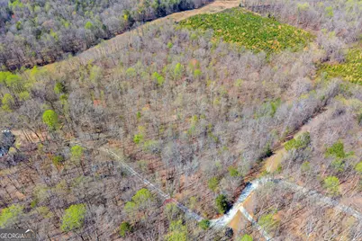 300 Rolling Rock Road, Carnesville, GA 30521 - Photo 8