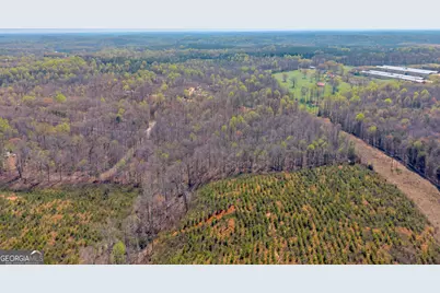 300 Rolling Rock Road, Carnesville, GA 30521 - Photo 2