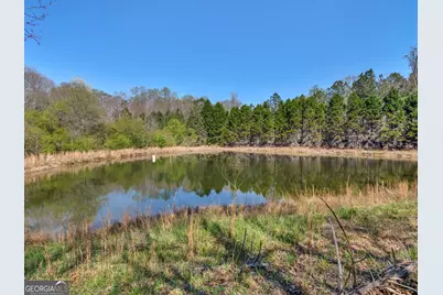 330 Anglin Road, Griffin, GA 30223 - Photo 46