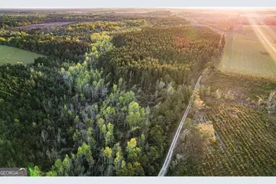 0 Dubberly Road, Baxley, GA 31513 - Photo 2