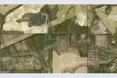 0 Dubberly Road, Baxley, GA 31513 - Photo 8